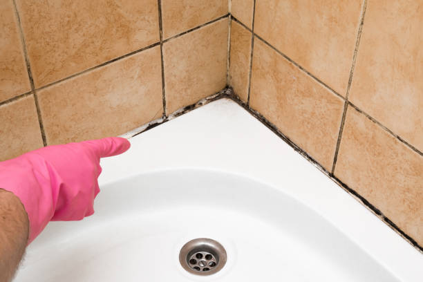 Best Residential Mold Removal  in Scenic Oaks, TX